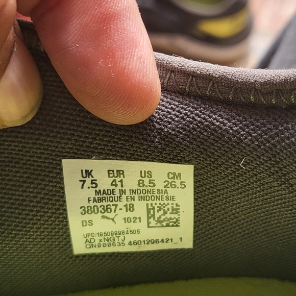 Puma - Picture 4 of 4